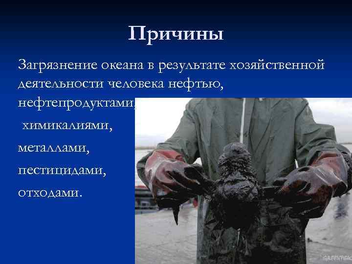 Причины Загрязнение океана в результате хозяйственной деятельности человека нефтью, нефтепродуктами, химикалиями, металлами, пестицидами, отходами.