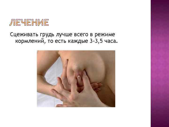 Сцеживать грудь лучше всего в режиме кормлений, то есть каждые 3 -3, 5 часа.