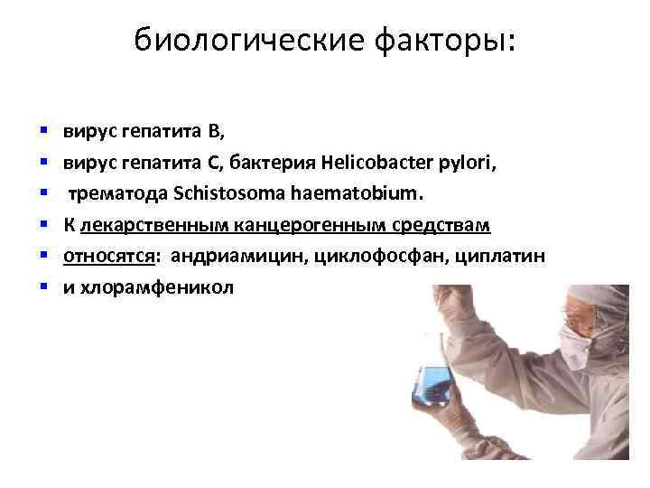 биологические факторы: § § § вирус гепатита В, вирус гепатита С, бактерия Helicobacter pylori,