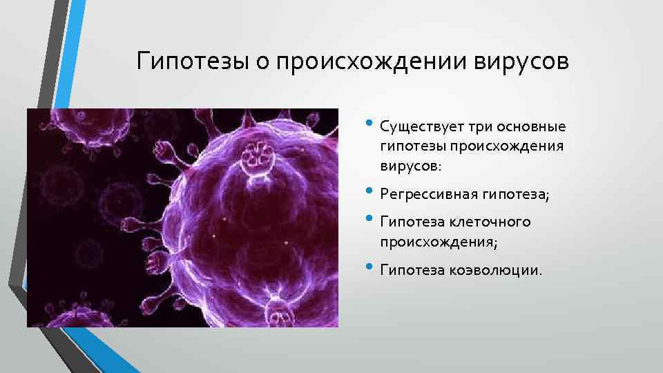 Гипотеза вирусов