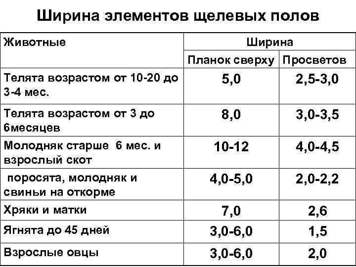 Ширина элементов щелевых полов Животные Ширина Планок сверху Просветов Телята возрастом от 10 -20