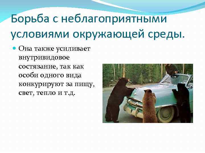 Борьба с неблагоприятными условиями окружающей среды. Она также усиливает внутривидовое состязание, так как особи