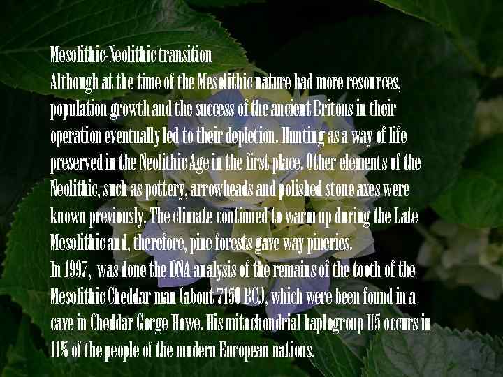 Mesolithic-Neolithic transition Although at the time of the Mesolithic nature had more resources, population