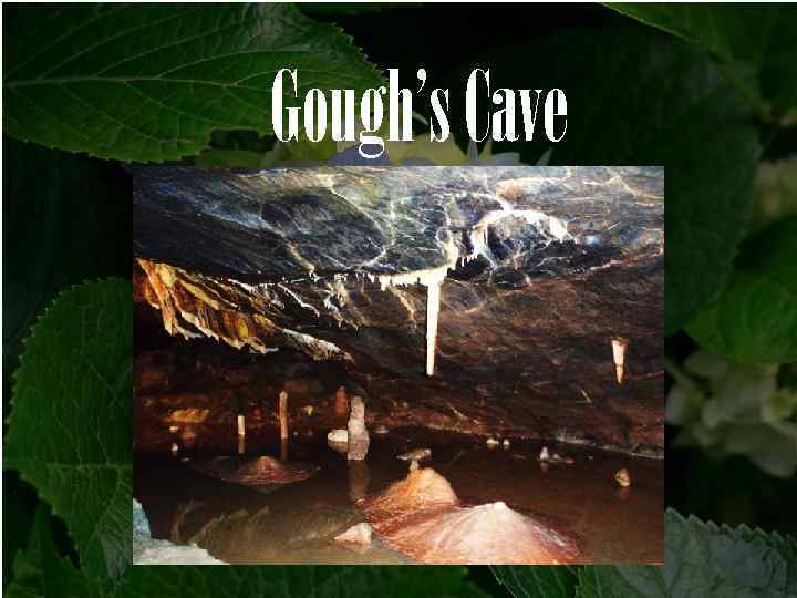 Gough’s Cave 