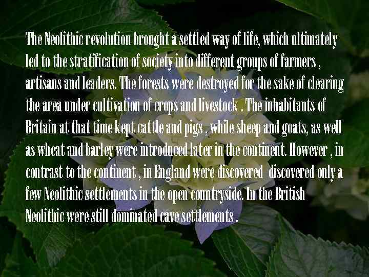 The Neolithic revolution brought a settled way of life, which ultimately led to the