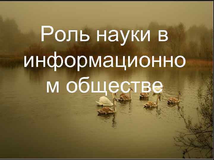 Роль науки в информационно м обществе 