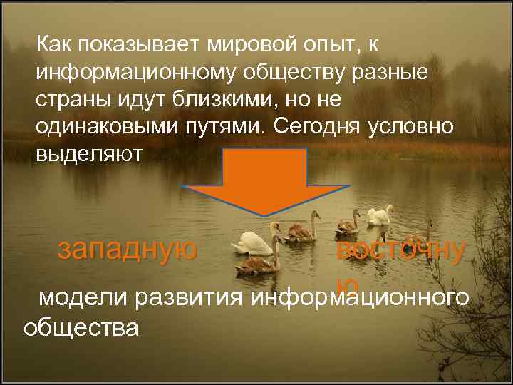 Как показывает мировой опыт, к информационному обществу разные страны идут близкими, но не одинаковыми
