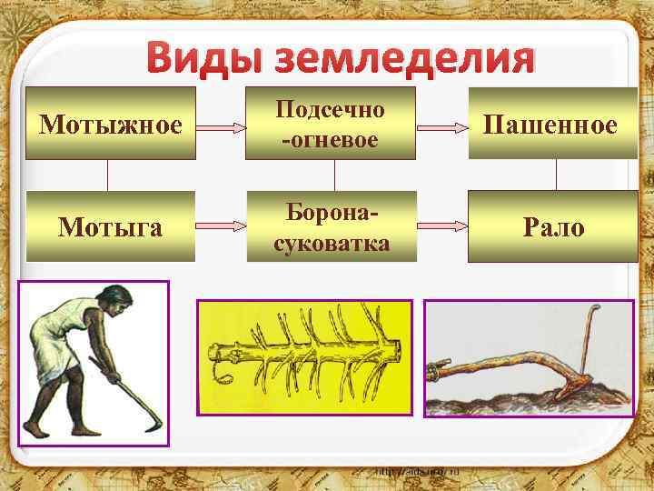 Виды земледелия Мотыжное Подсечно -огневое Пашенное Мотыга Боронасуковатка Рало 