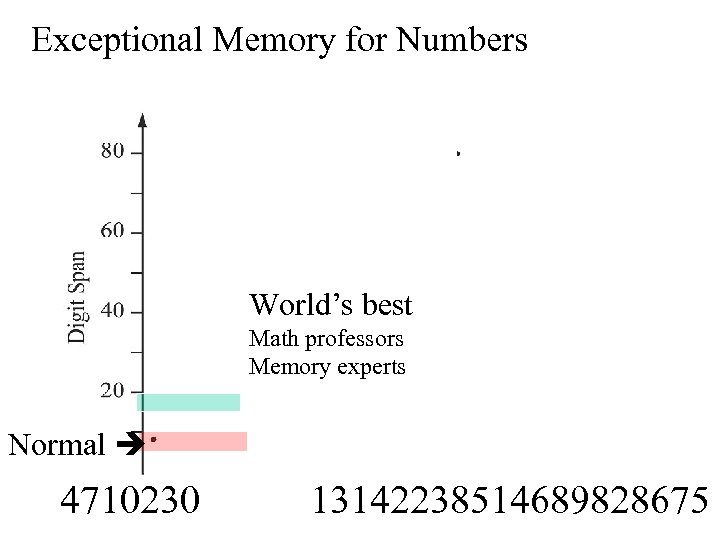 Exceptional Memory for Numbers World’s best Math professors Memory experts Normal 4710230 13142238514689828675 