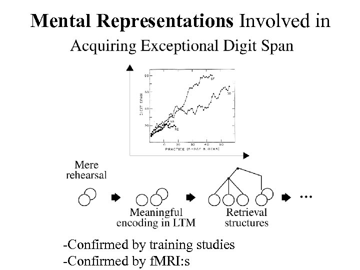 Mental Representations Involved in -Confirmed by training studies -Confirmed by f. MRI: s 