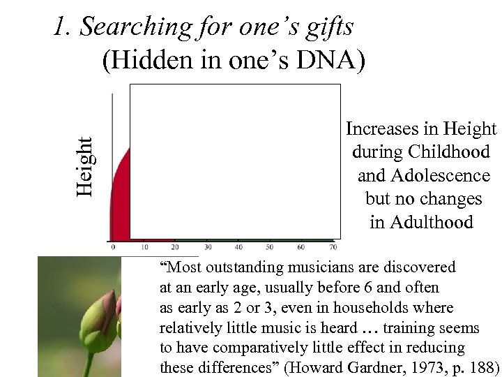 Height 1. Searching for one’s gifts (Hidden in one’s DNA) Increases in Height during