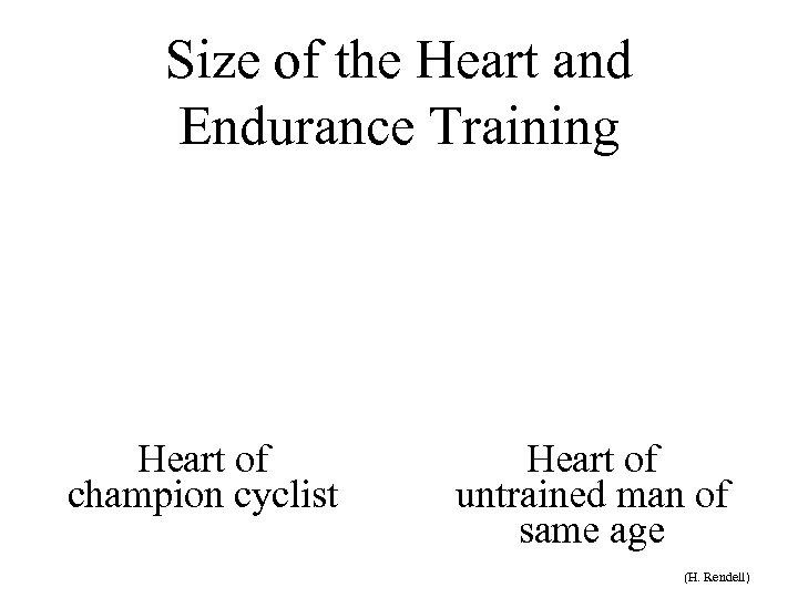 Size of the Heart and Endurance Training Heart of champion cyclist Heart of untrained