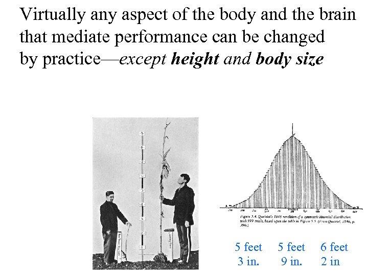 Virtually any aspect of the body and the brain that mediate performance can be