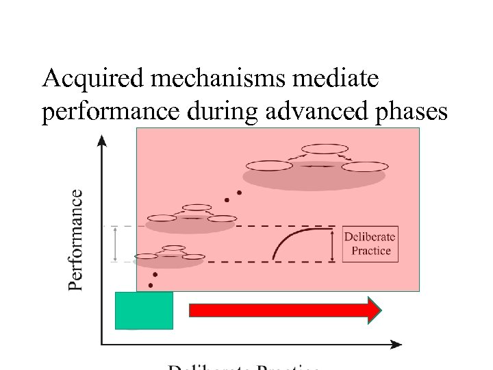 VI. Concluding Thoughts Acquired mechanisms mediate performance during advanced phases 