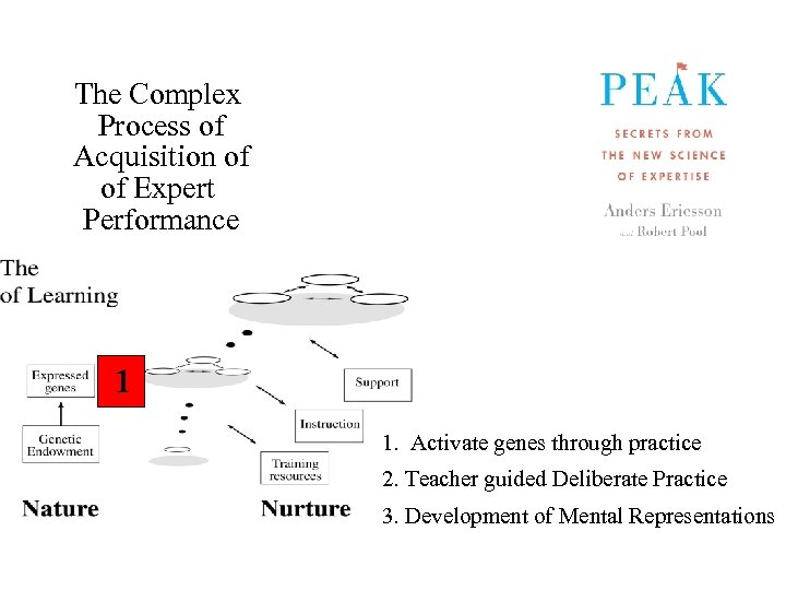 The Complex Process of Acquisition of of Expert Performance 1 1. Activate genes through