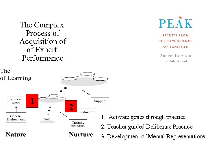 The Complex Process of Acquisition of of Expert Performance 1 2 1. Activate genes