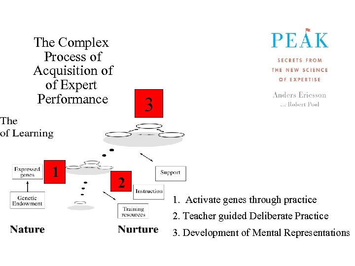 The Complex Process of Acquisition of of Expert Performance 1 3 2 1. Activate