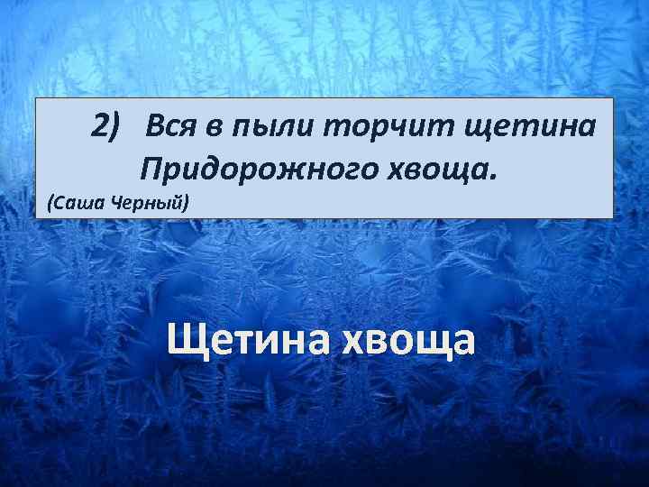  2) Вся в пыли торчит щетина Придорожного хвоща. (Саша Черный) Щетина хвоща 