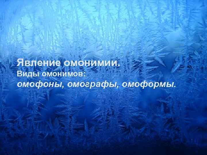 Явление омонимии. Виды омонимов: омофоны, омографы, омоформы. 