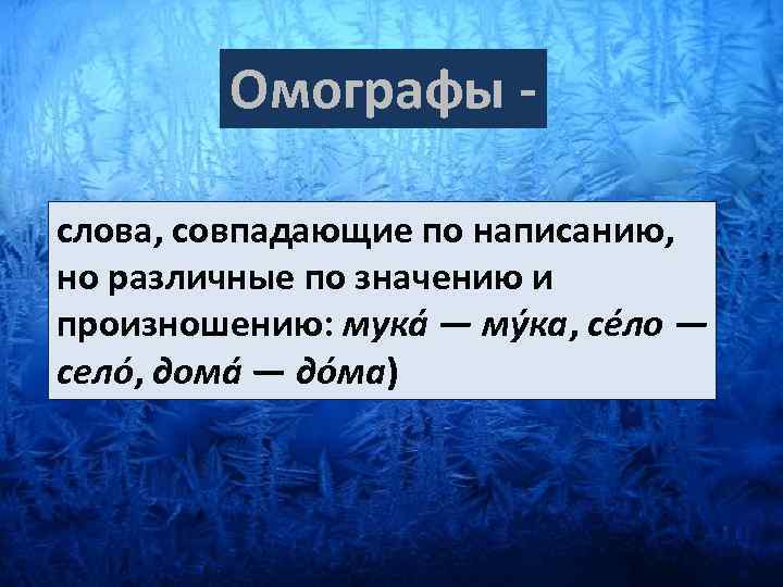 Омографы слова, совпадающие по написанию, но различные по значению и произношению: мукá — мýка,