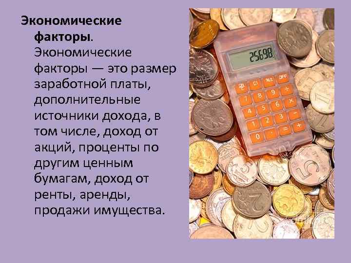 Экономические факторы — это размер заработной платы, дополнительные источники дохода, в том числе, доход