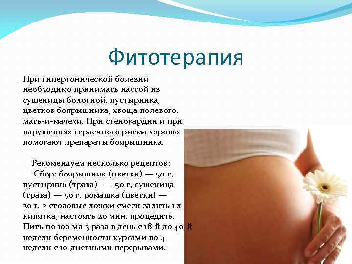 Фитотерапия При гипертонической болезни необходимо принимать настой из сушеницы болотной, пустырника, цветков боярышника, хвоща