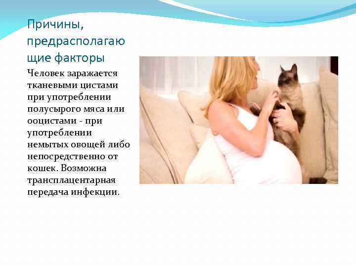 Причины, предрасполагаю щие факторы Человек заражается тканевыми цистами при употреблении полусырого мяса или ооцистами