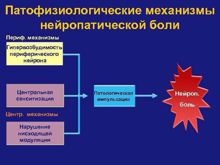 Патофизиологические механизмы нейропатической боли Периф. механизмы Гипервозбудимость периферического нейрона Центральная сенситизация Центр. механизмы Нарушение