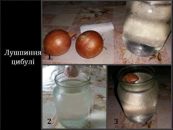 Лушпиння 1. цибулі 2. 3. 