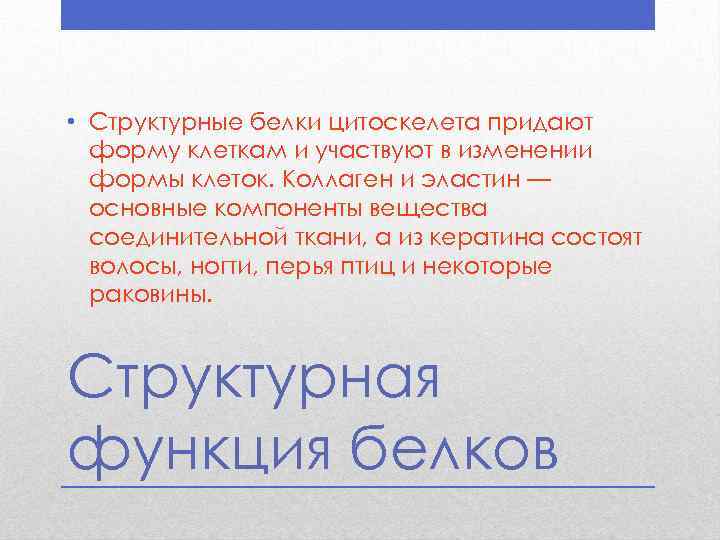  • Структурные белки цитоскелета придают форму клеткам и участвуют в изменении формы клеток.