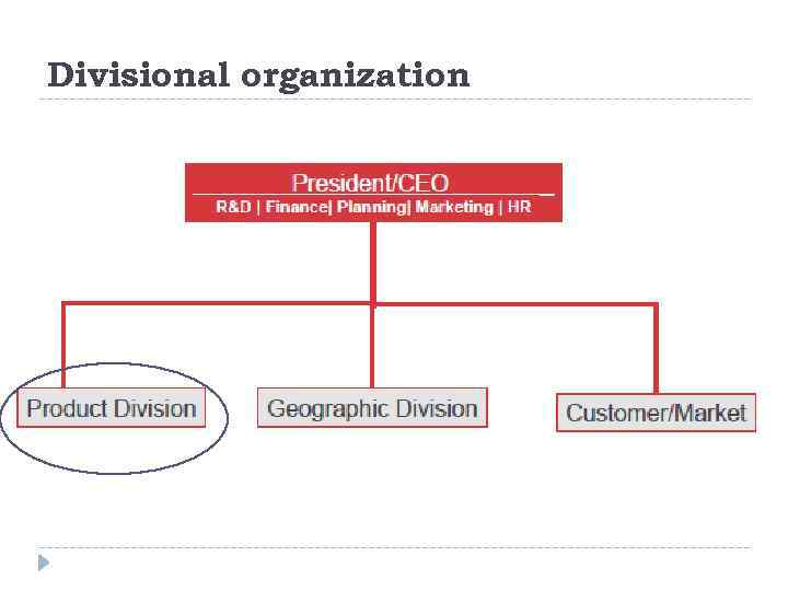 Divisional organization 