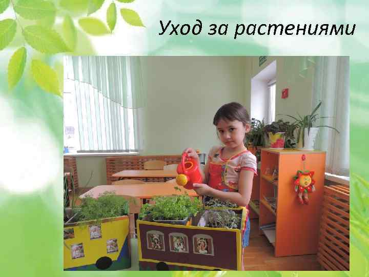 . Уход за растениями 