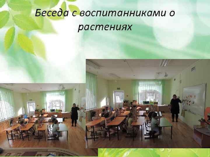 . Беседа с воспитанниками о растениях 