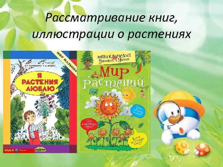 . Рассматривание книг, иллюстрации о растениях 