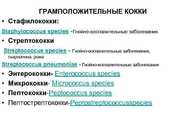  ГРАМПОЛОЖИТЕЛЬНЫЕ КОККИ • Стафилококки: Staphylococcus species -Гнойно-воспалительные заболевания • Стрептококки Streptococcus species -