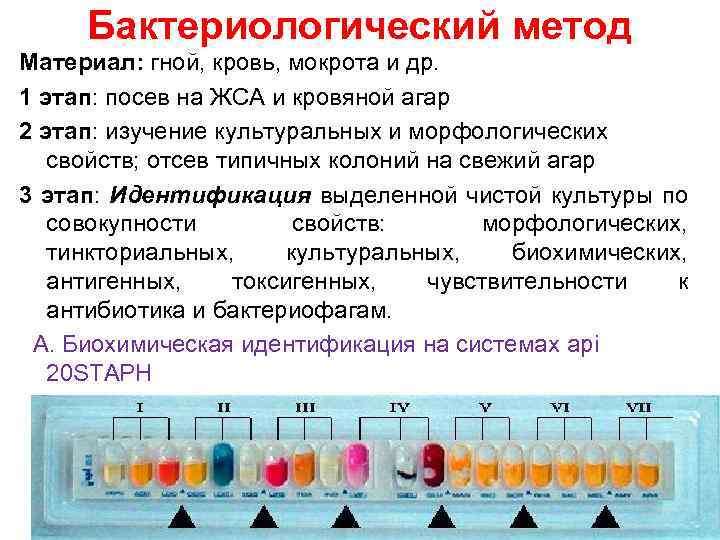Бактериологический метод Материал: гной, кровь, мокрота и др. 1 этап: посев на ЖСА и
