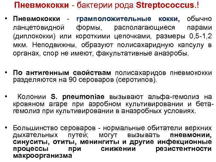 Пневмококки - бактерии рода Streptococcus. ! • Пневмококки - грамположительные кокки, обычно ланцетовидной формы,