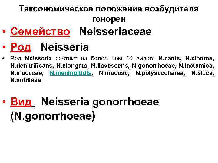 Таксономическое положение возбудителя гонореи • Семейство Neisseriaceae • Род Neisseria • Род Neisseria состоит
