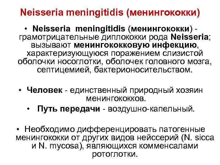 Neisseria meningitidis (менингококки) • Neisseria meningitidis (менингококки) - грамотрицательные диплококки рода Neisseria; вызывают менингококковую
