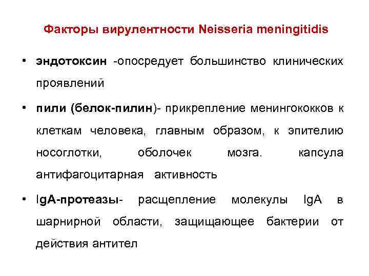 Факторы вирулентности Neisseria meningitidis • эндотоксин -опосредует большинство клинических проявлений • пили (белок-пилин)- прикрепление