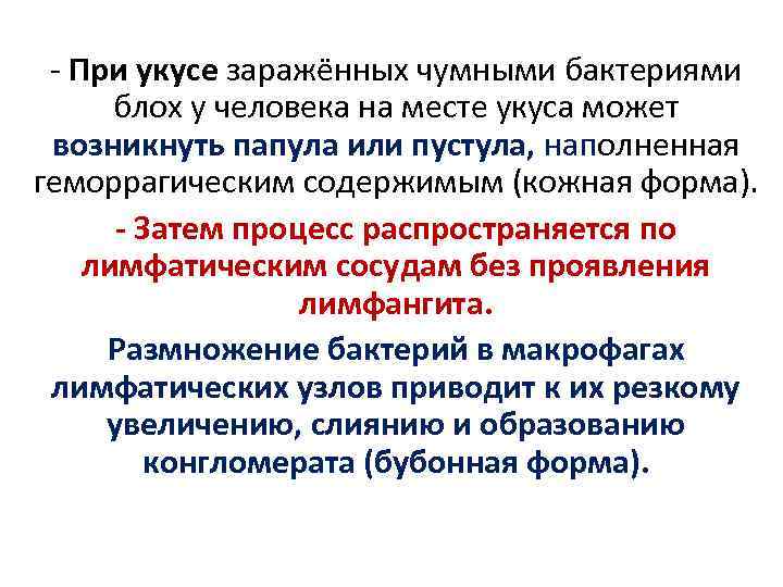 - При укусе заражённых чумными бактериями блох у человека на месте укуса может возникнуть