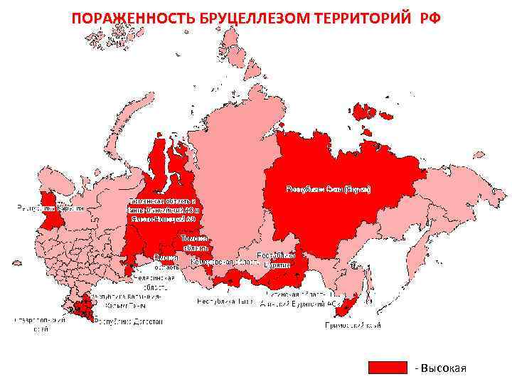 ПОРАЖЕННОСТЬ БРУЦЕЛЛЕЗОМ ТЕРРИТОРИЙ РФ - Высокая 