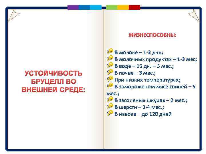 ЖИЗНЕСПОСОБНЫ: УСТОЙЧИВОСТЬ БРУЦЕЛЛ ВО ВНЕШНЕЙ СРЕДЕ: В молоке – 1 -3 дня; В молочных