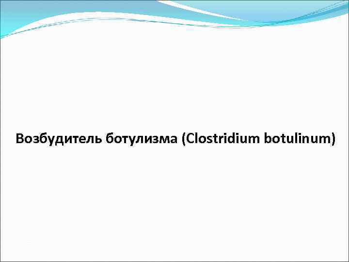  Возбудитель ботулизма (Clostridium botulinum) 