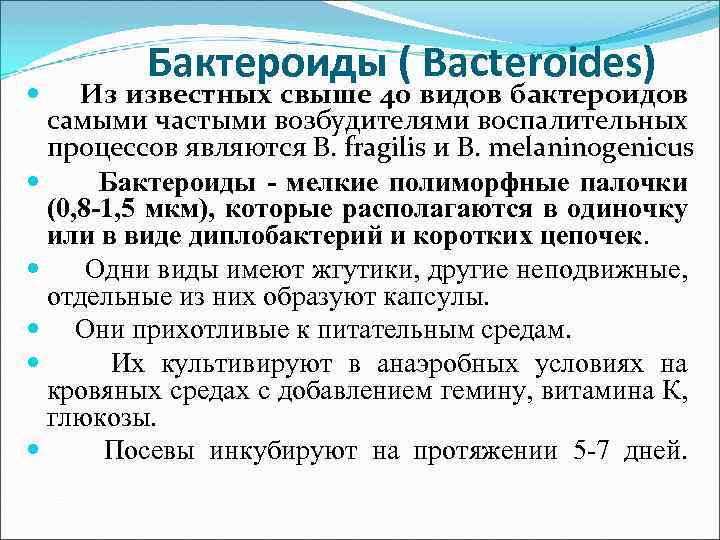 Бактероиды ( Bacteroides) Из известных свыше 40 видов бактероидов самыми частыми возбудителями воспалительных процессов