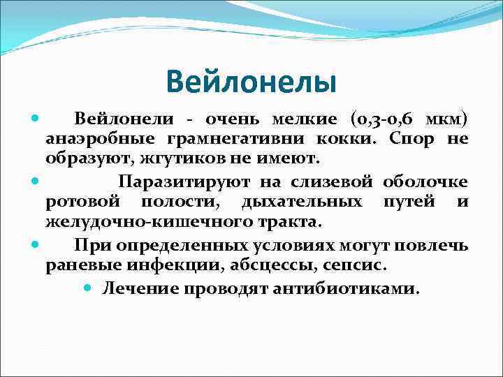 Анаэробные условно патогенные. Вейлонелла. Вейлонеллы пути передачи. Анаэробные кокки. Вейлонеллы входные ворота.