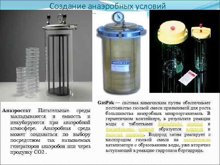 Создание анаэробных условий Анаэростат Питательные среды закладываются в емкость и инкубируются при анаэробной атмосфере.