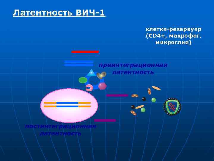 Латентность ВИЧ-1 клетка-резервуар (CD 4+, макрофаг, микроглия) преинтеграционная латентность постинтеграционная латентность 