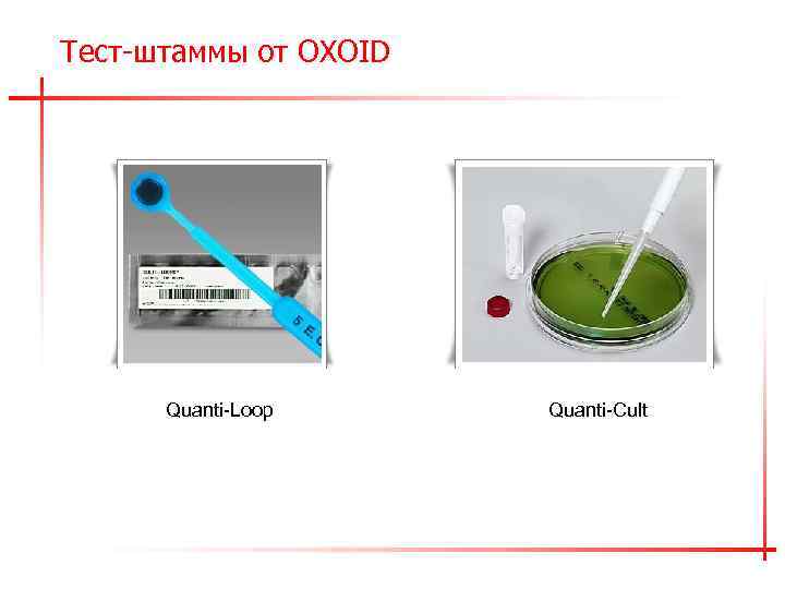 Тест-штаммы от OXOID Quanti-Loop Quanti-Cult 