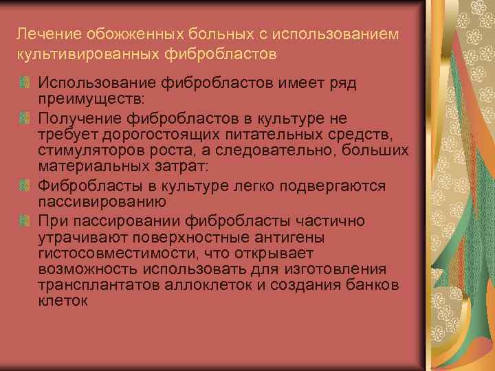 Лечение обожженных больных с использованием культивированных фибробластов Использование фибробластов имеет ряд преимуществ: Получение фибробластов
